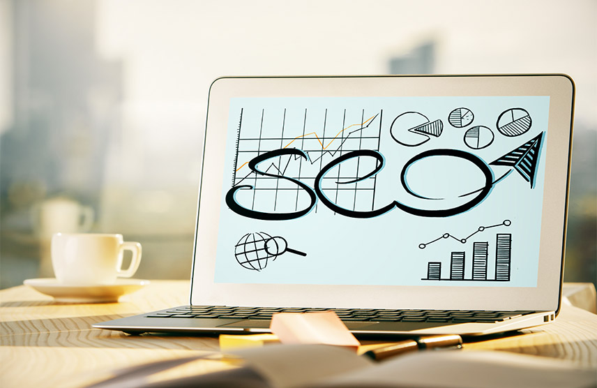 tipos de seo